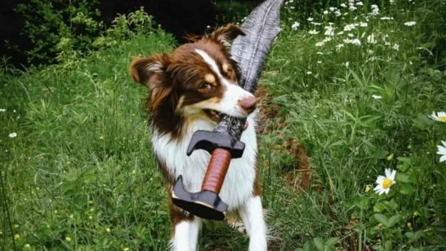 Cachorro com espada