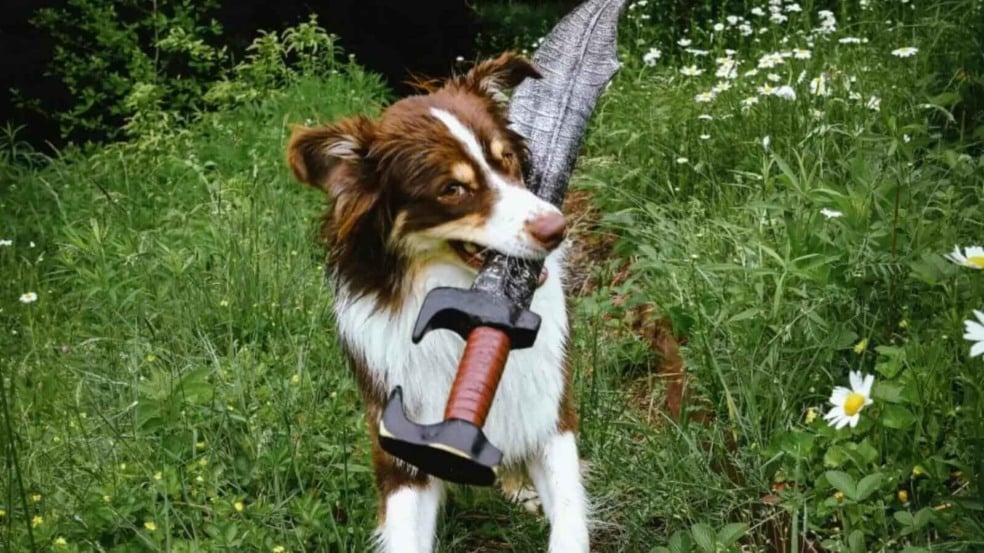 Cachorro com espada