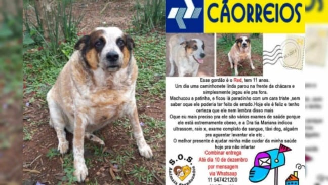 Foto: Arquivo pessoal