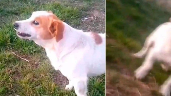 (Foto: Reprodução/Instagram)