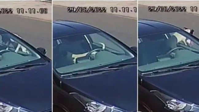 (Foto: Reprodução/Câmeras de segurança)