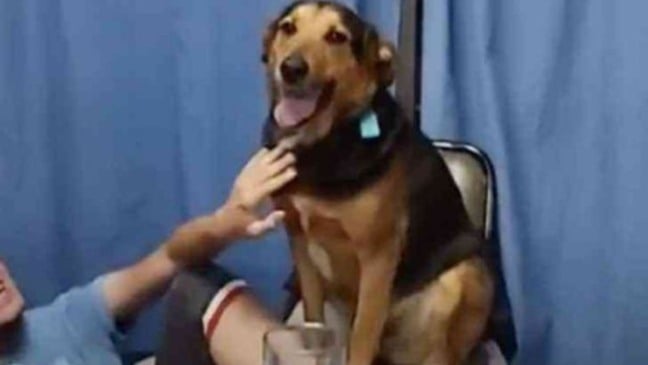 (Foto: Reprodução/TikTok)