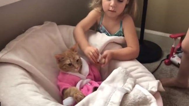 (Foto: Reprodução/catiororeflexivo)