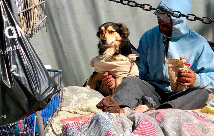 Casal acolhe moradores de rua e seus animais em noites congelantes de Jundiaí
