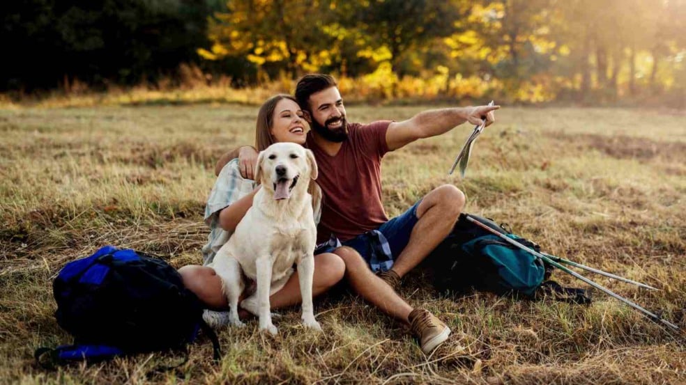 (Foto: Canva/Pavle Bugarski)