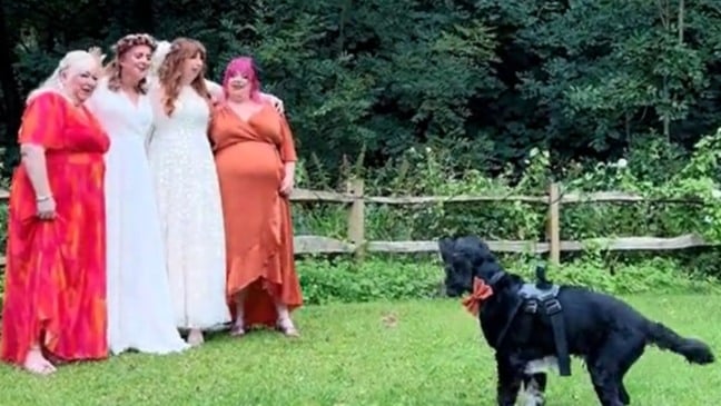 Cachorro fica responsável por gravar casamento de tutoras