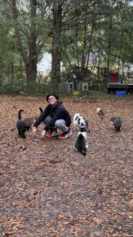 Casal cria santuário onde viajantes podem acampar com centenas de gatos