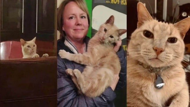 Mulher com gato laranja