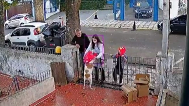 Casal coloca roupa nova em cachorra