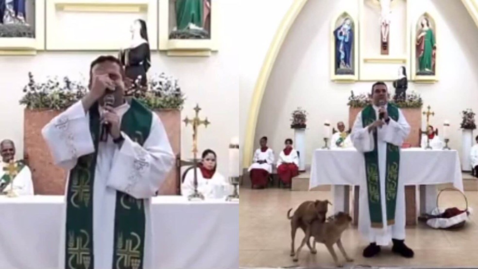 Cachorros vira-lata caramelo invadem missa