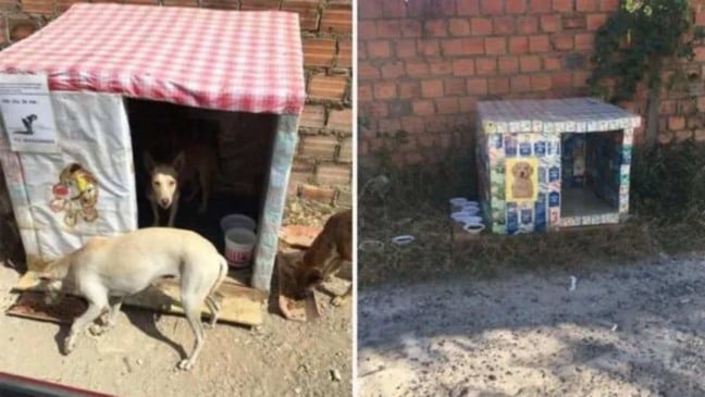 (Foto: Reprodução/caesonline)