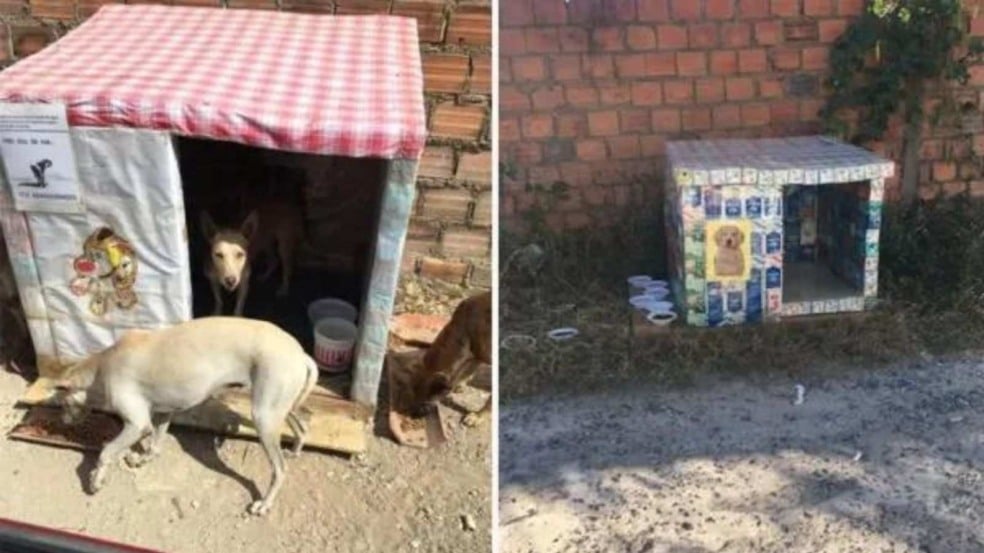 (Foto: Reprodução/caesonline)