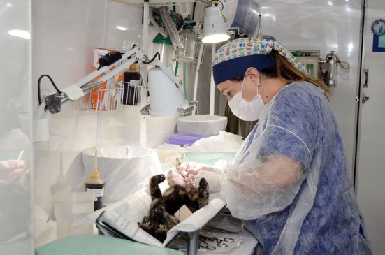 Foto: Prefeitura de Várzea Paulista