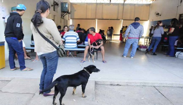 pessoas segurando cães em coleira em fila de espera para castração