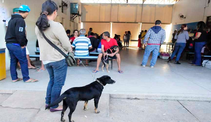 pessoas segurando cães em coleira em fila de espera para castração