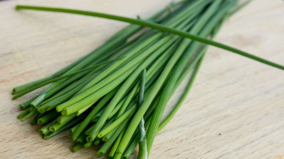 (Foto: SKatzenberger/Canva)