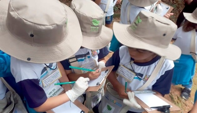 Educação Ambiental