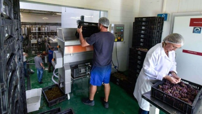 Centro de Enologia de Jundiaí