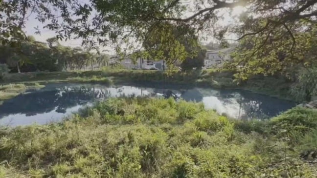 Córrego das Tulipas