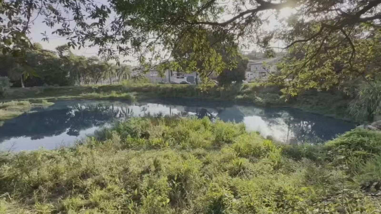 Córrego das Tulipas