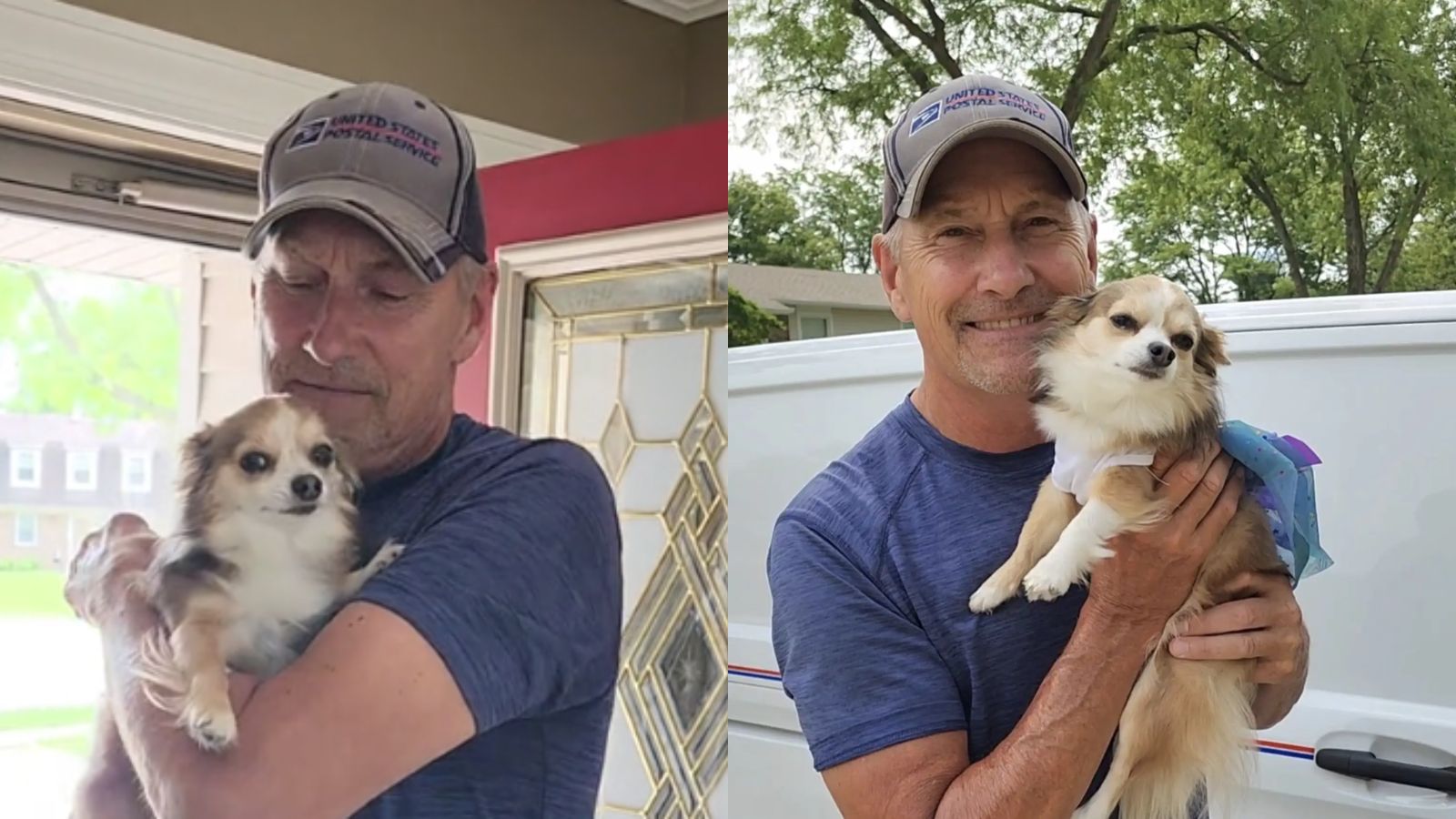 Chihuahua corre para cumprimentar seu carteiro favorito