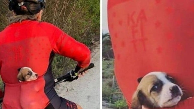 (Foto: Reprodução/portalamigocao)