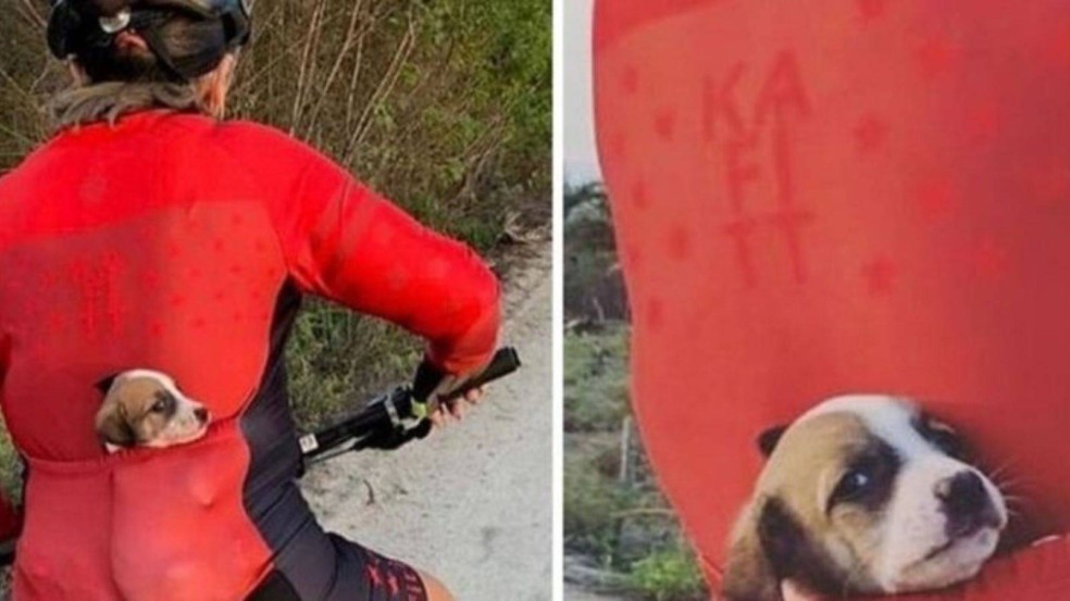 (Foto: Reprodução/portalamigocao)