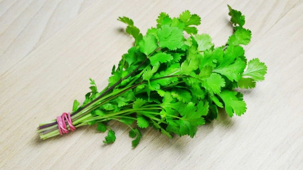 Foto: Jfanchin/Canva