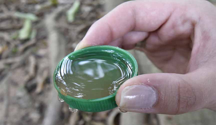 foto focada em mão segurando tampa com água e criadouros de mosquito da dengue