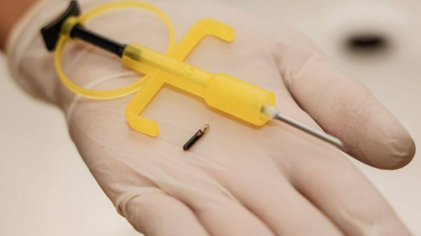 Microchip de animais de estimação