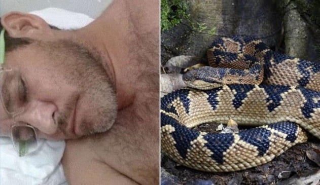 à esquerda, homem deitado dormindo; à direita, cobra enrolada pronta para dar o bote