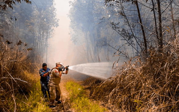 Bombeiros de Itupeva controlam o fogo com apoio da Defesa Civil. (Foto: Prefeitura Municipal de Itupeva)