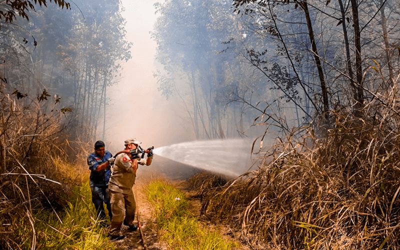 Bombeiros de Itupeva controlam o fogo com apoio da Defesa Civil. (Foto: Prefeitura Municipal de Itupeva)