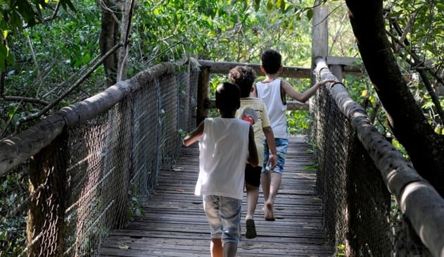 Começa a ‘Semana da Adoção’ em Jundiaí