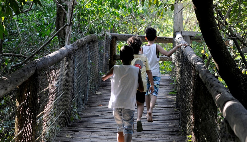 Começa a ‘Semana da Adoção’ em Jundiaí
