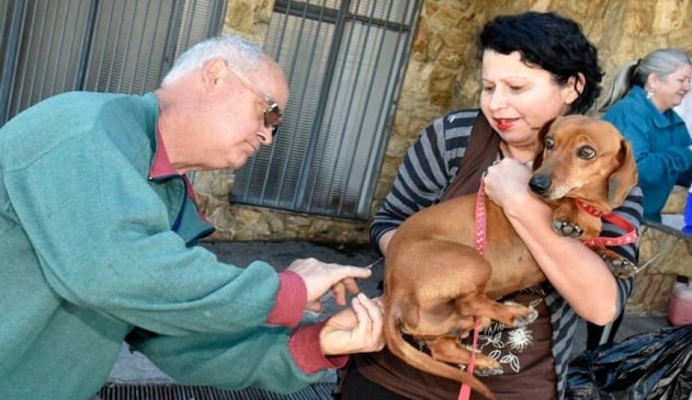 Começa o agendamento para imunizar animais contra raiva em Jundiaí