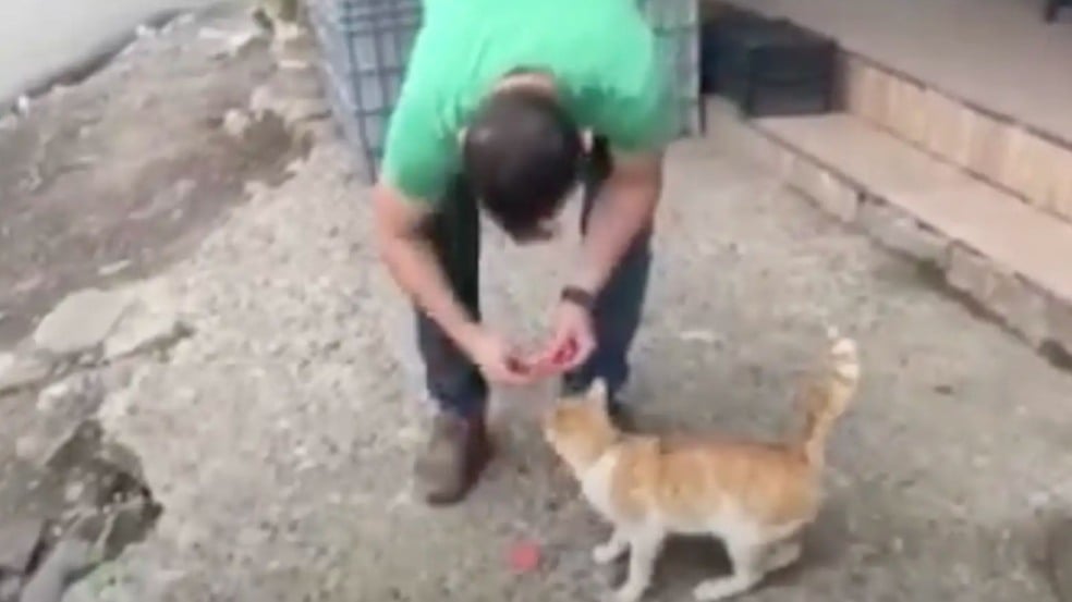 Comerciante e gato laranja