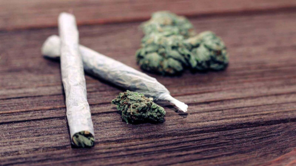 Foto: Freepik Foto: Freepik