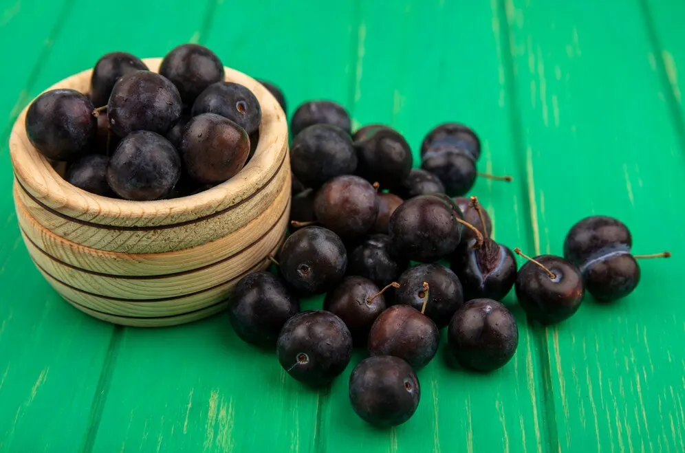 Como a jabuticaba protege o coração e melhora a saúde intestinal