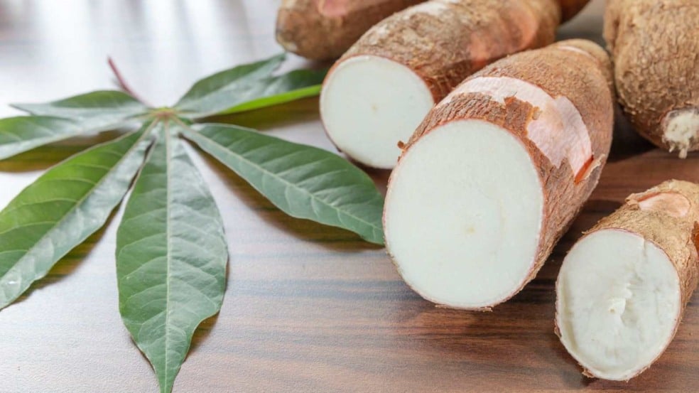 (Foto: Alexander Ruiz/Canva)