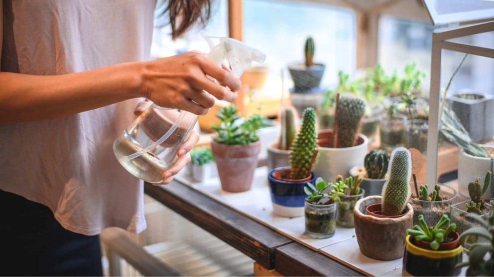 (Foto: AzmanL/Canva)