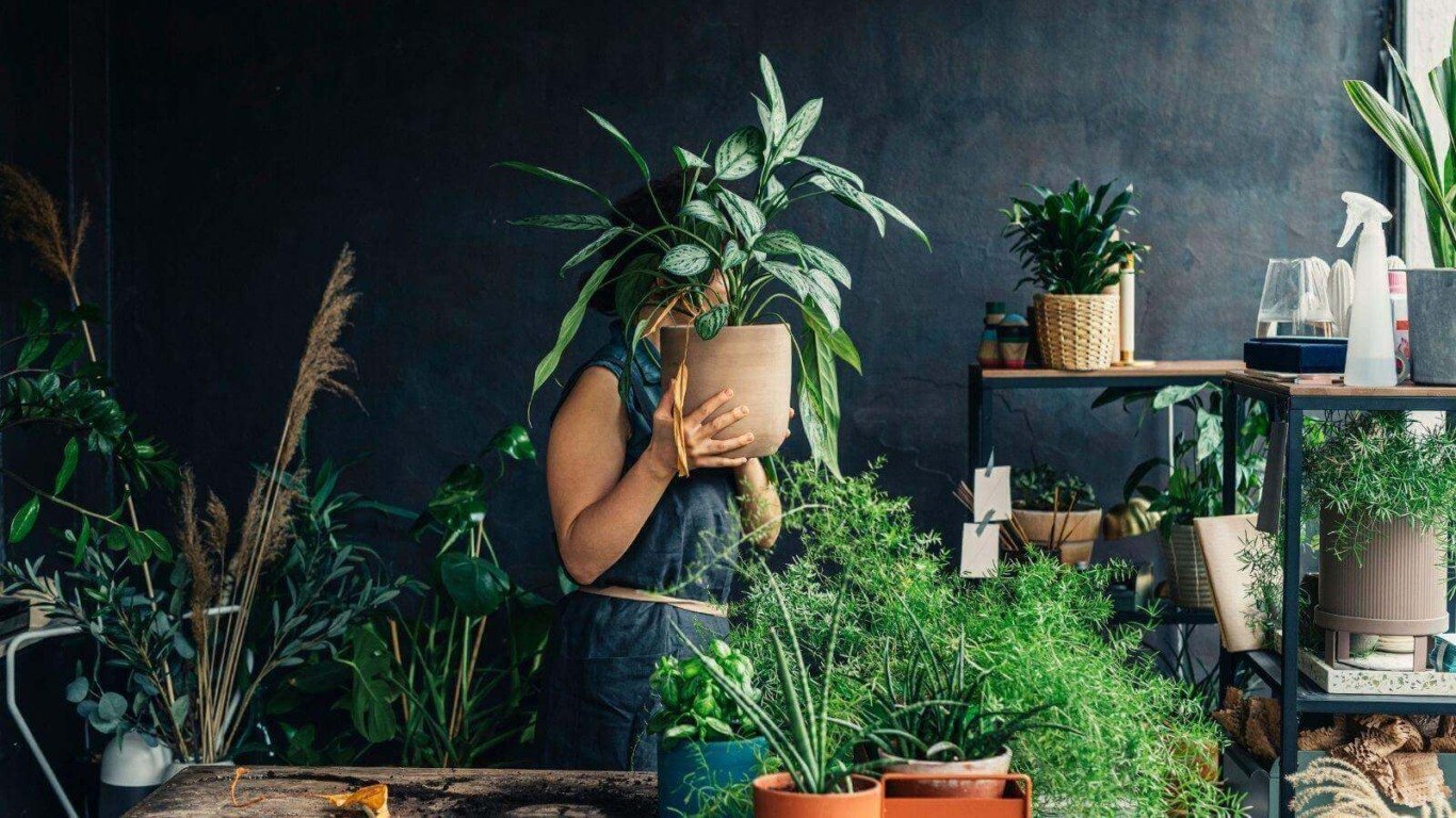 Mulher com vasos de plantas
