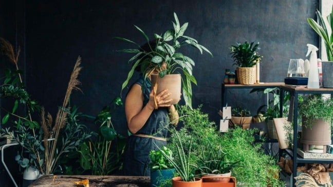 Mulher com vasos de plantas