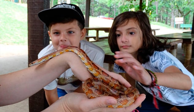 Confira programação de férias no Zooparque Itatiba