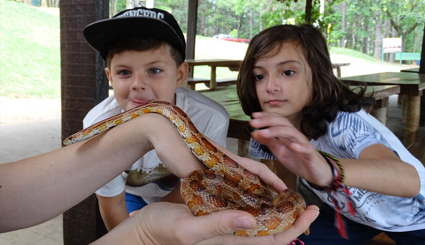 Confira programação de férias no Zooparque Itatiba