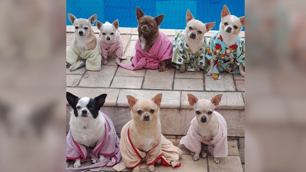 Parte da Turminha Topp