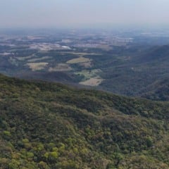 Serra do Japi