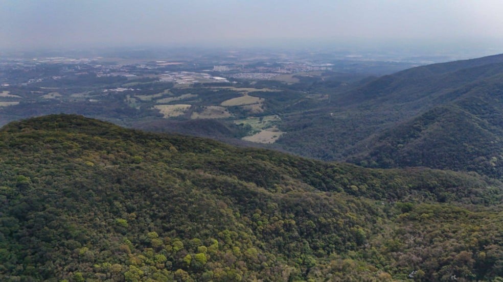 Serra do Japi