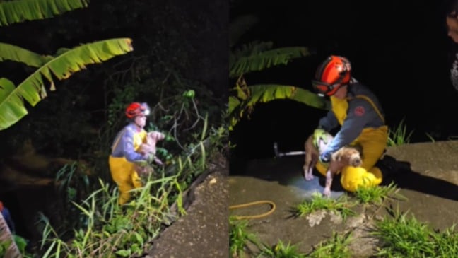 Bombeiro com cão resgatado no colo