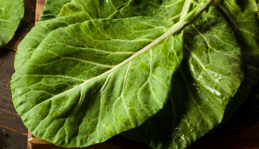 Couve pode deixar cérebro 11 anos mais jovem, limpar o fígado e mais